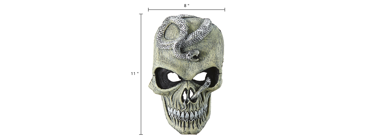 Halloween Skull Mask - Click Image to Close